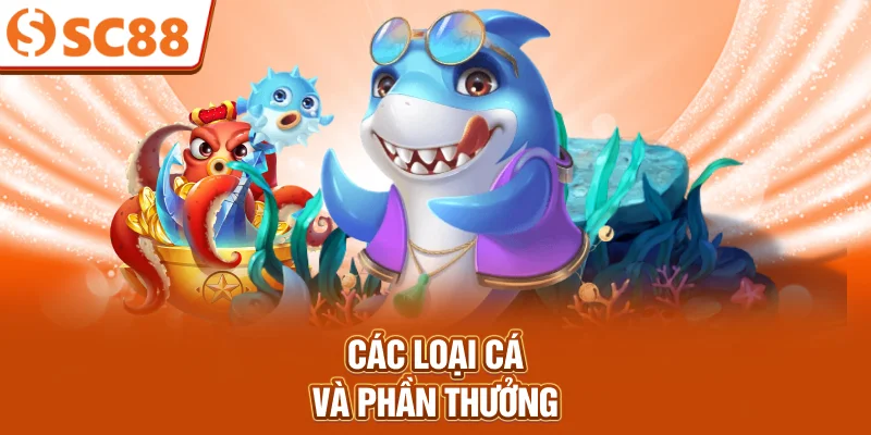 cac-loai-ca-va-phan-thuong