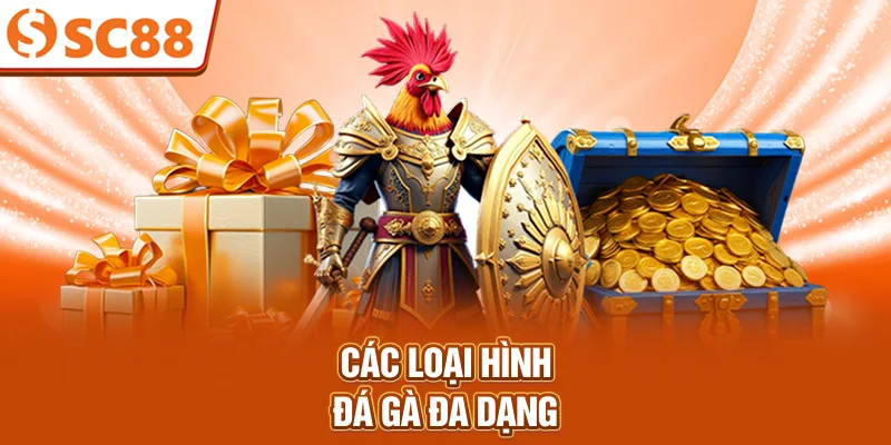 cac-loai-hinh-da-ga-da-dang