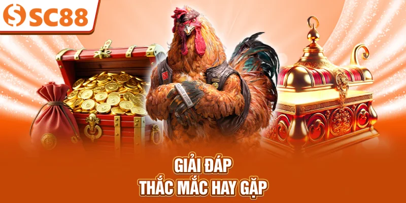 giai-dap-thac-mac-hay-gap
