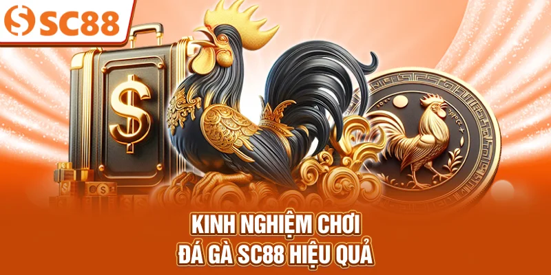 kinh-nghiem-choi-da-ga-sc88-hieu-qua