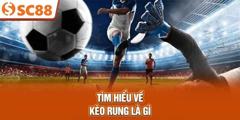 Tìm hiểu về kèo rung là gì